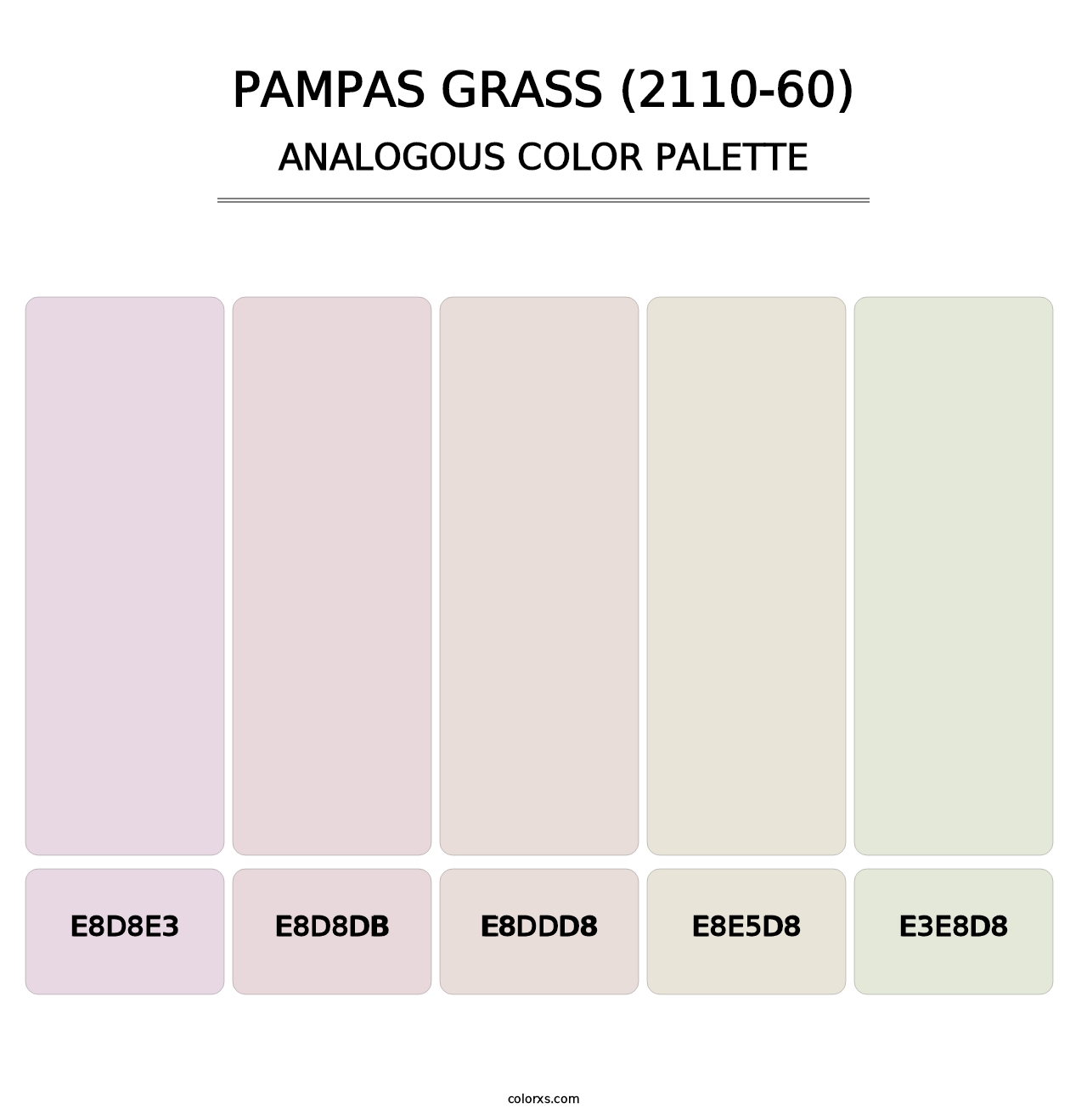 Pampas Grass (2110-60) - Analogous Color Palette