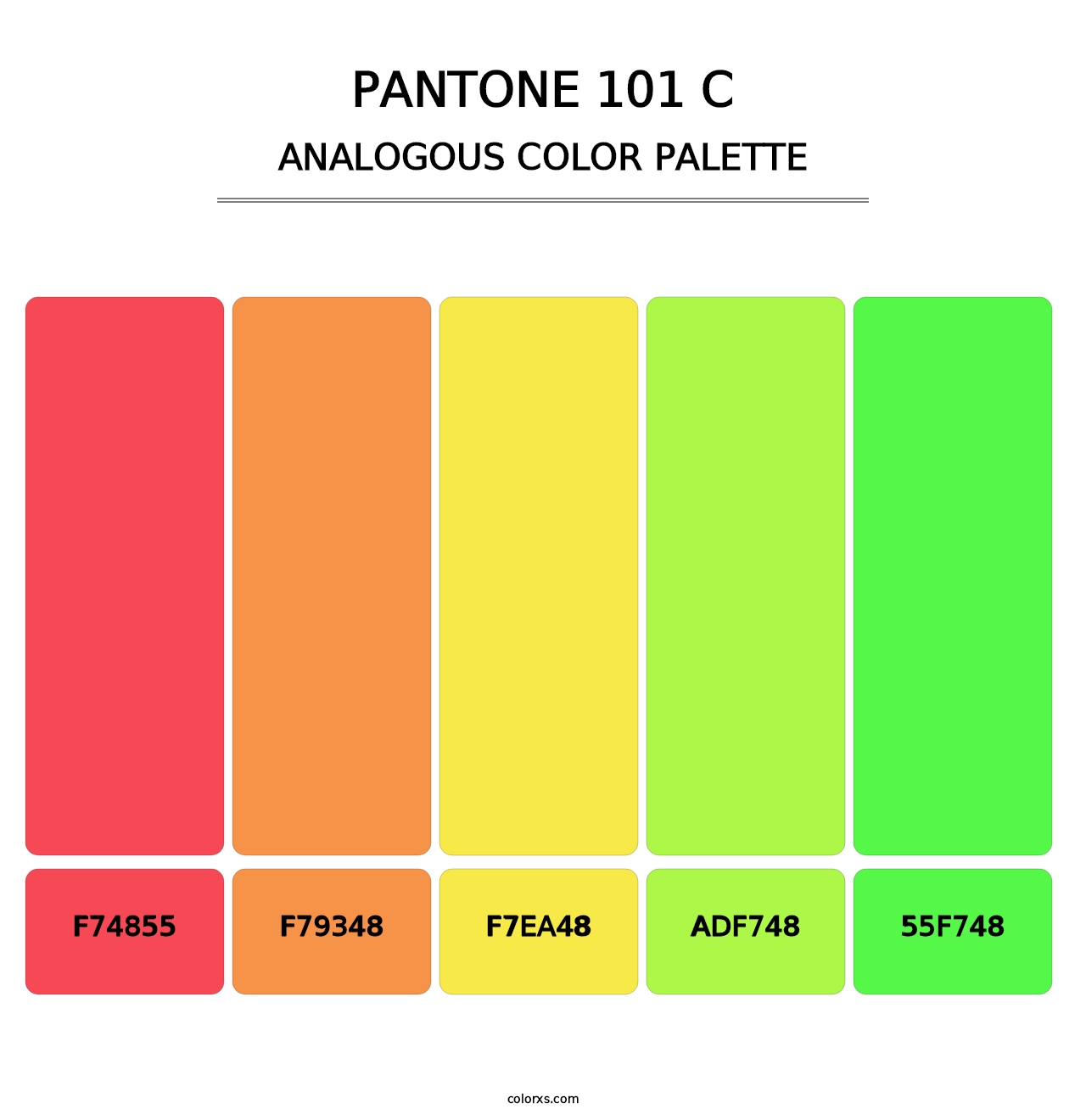 PANTONE 101 C - Analogous Color Palette