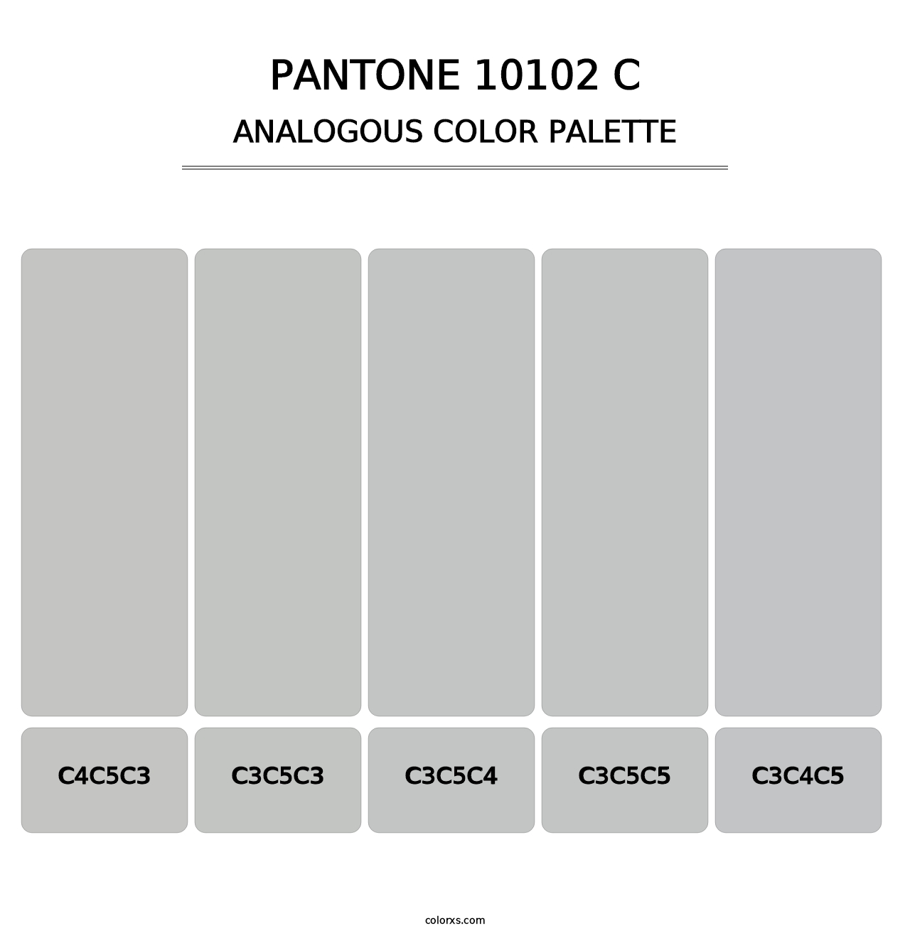 PANTONE 10102 C - Analogous Color Palette