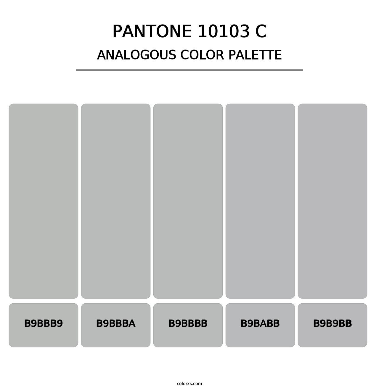 PANTONE 10103 C - Analogous Color Palette