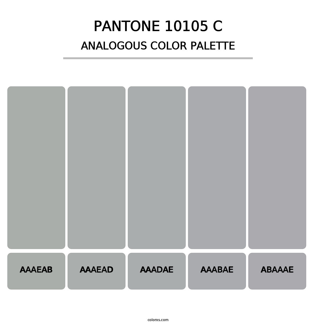 PANTONE 10105 C - Analogous Color Palette