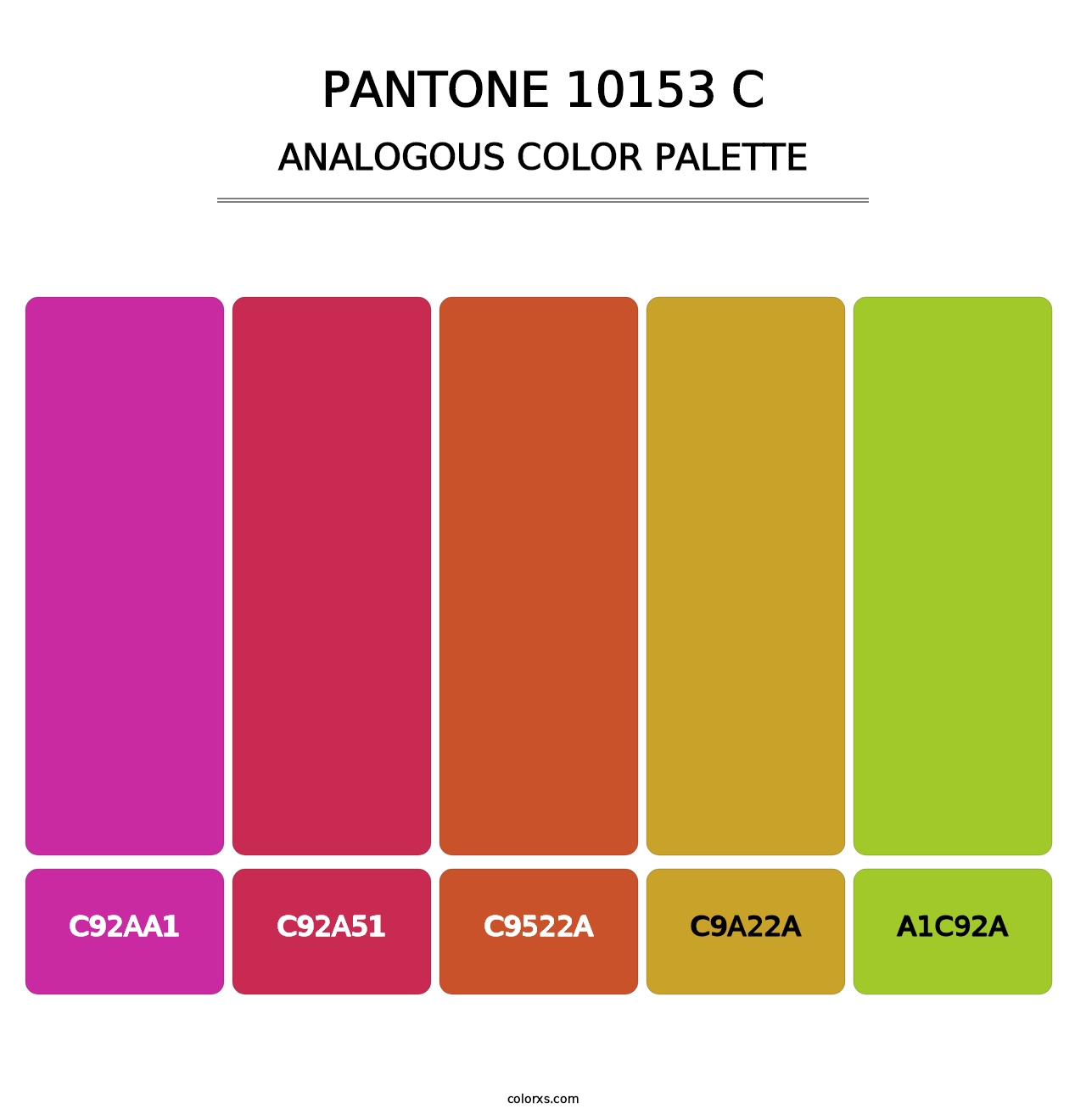 PANTONE 10153 C - Analogous Color Palette