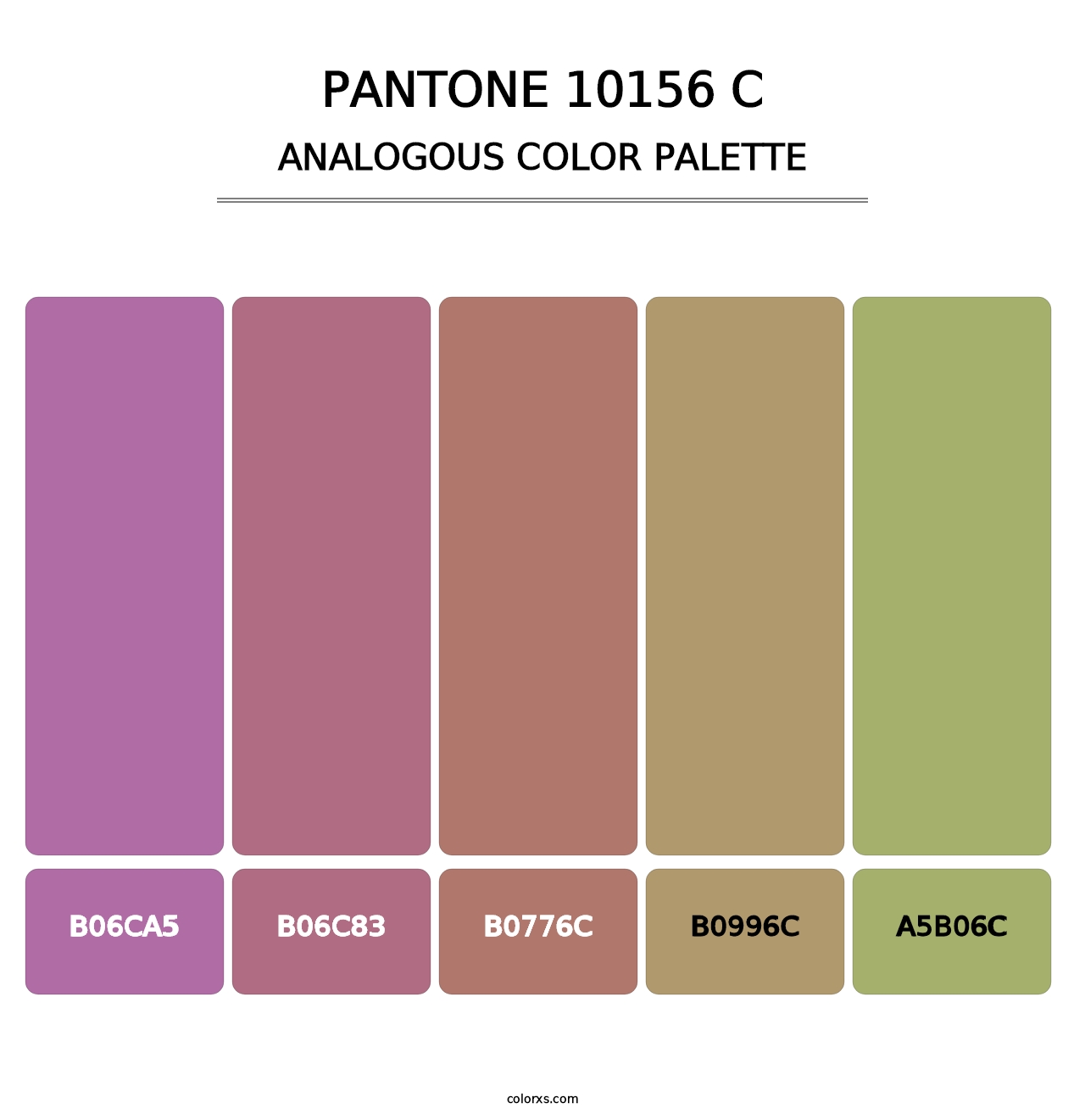 PANTONE 10156 C - Analogous Color Palette