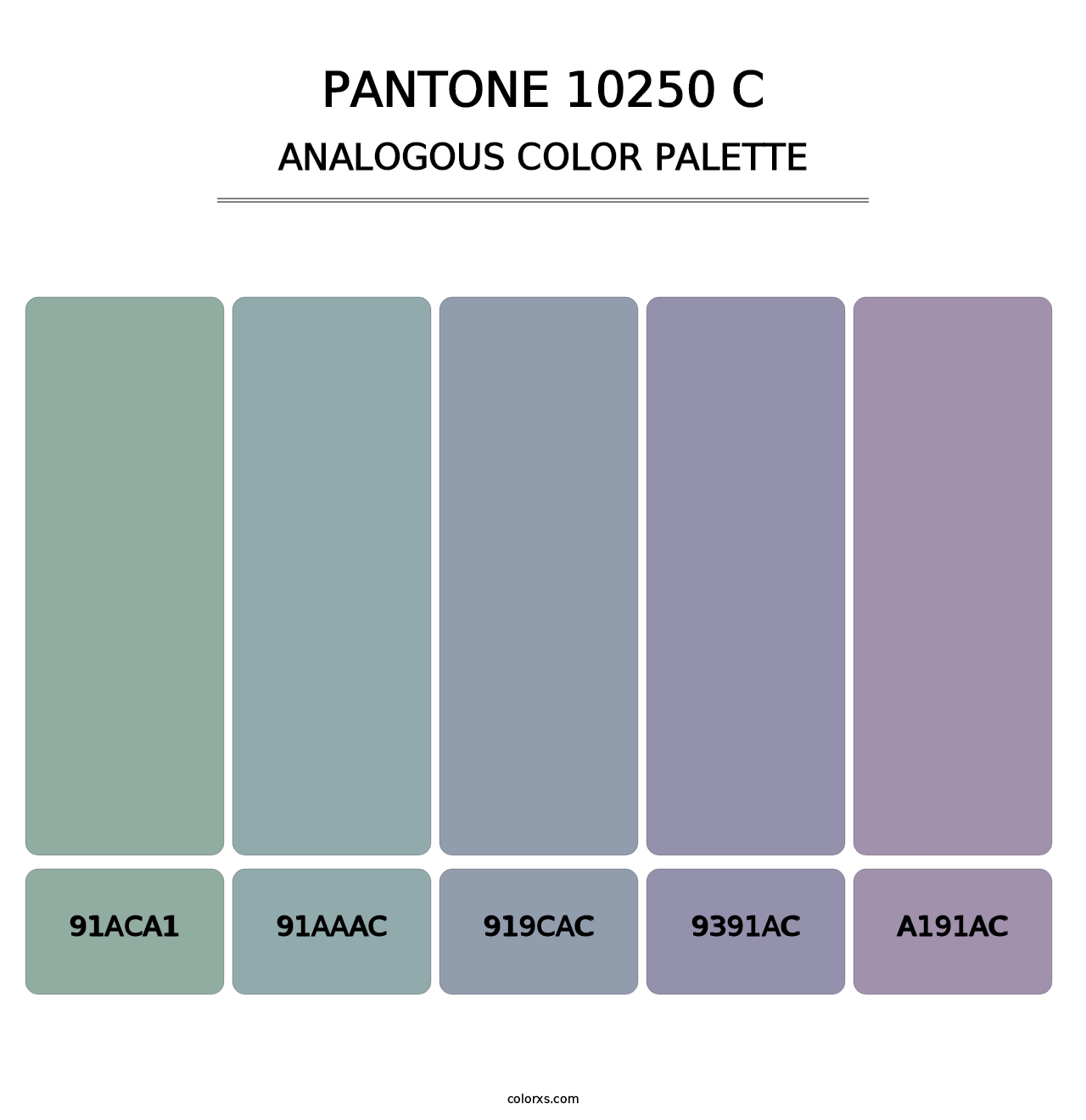 PANTONE 10250 C - Analogous Color Palette