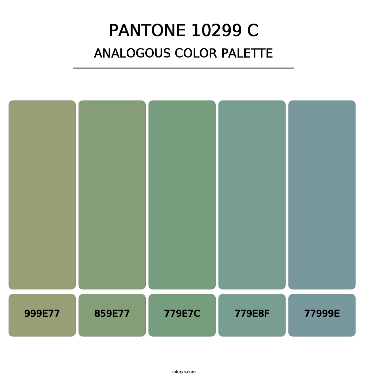 PANTONE 10299 C - Analogous Color Palette