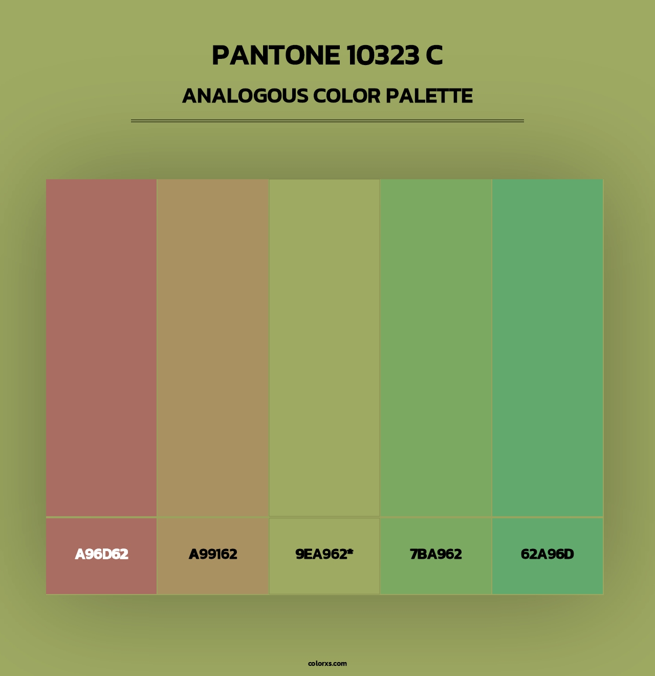 PANTONE 10323 C - Analogous Color Palette