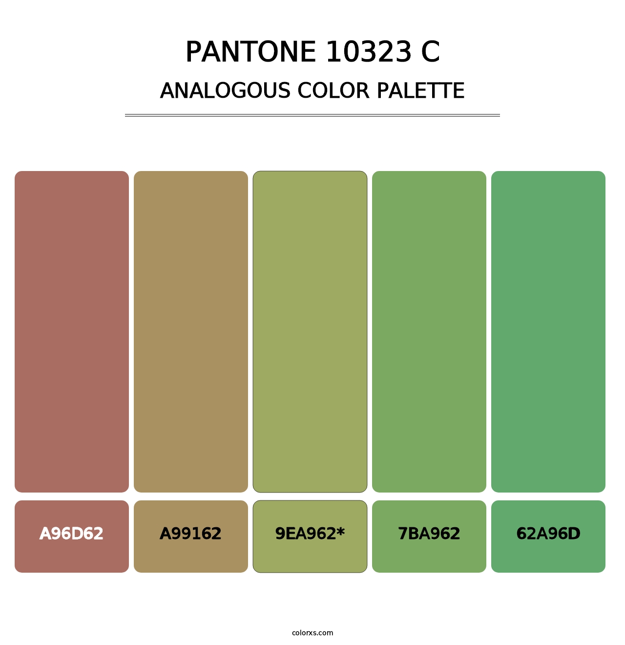 PANTONE 10323 C - Analogous Color Palette