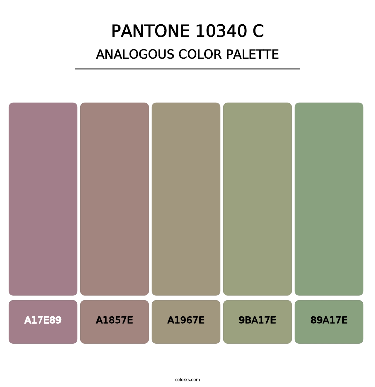 PANTONE 10340 C - Analogous Color Palette