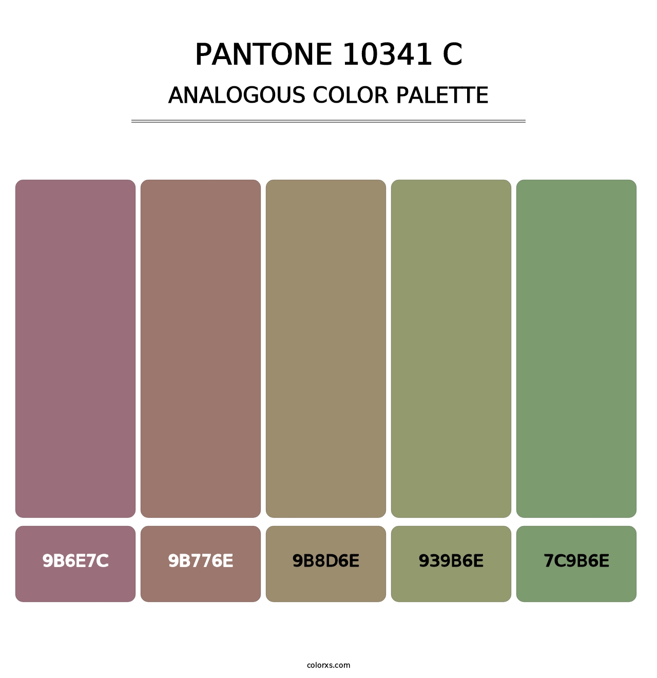 PANTONE 10341 C - Analogous Color Palette