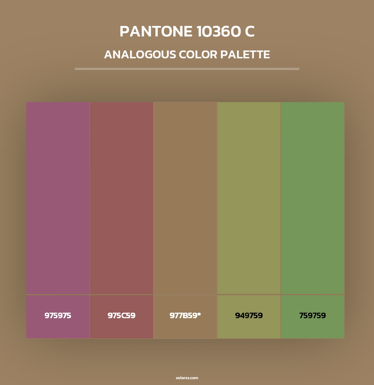 PANTONE 10360 C - Analogous Color Palette