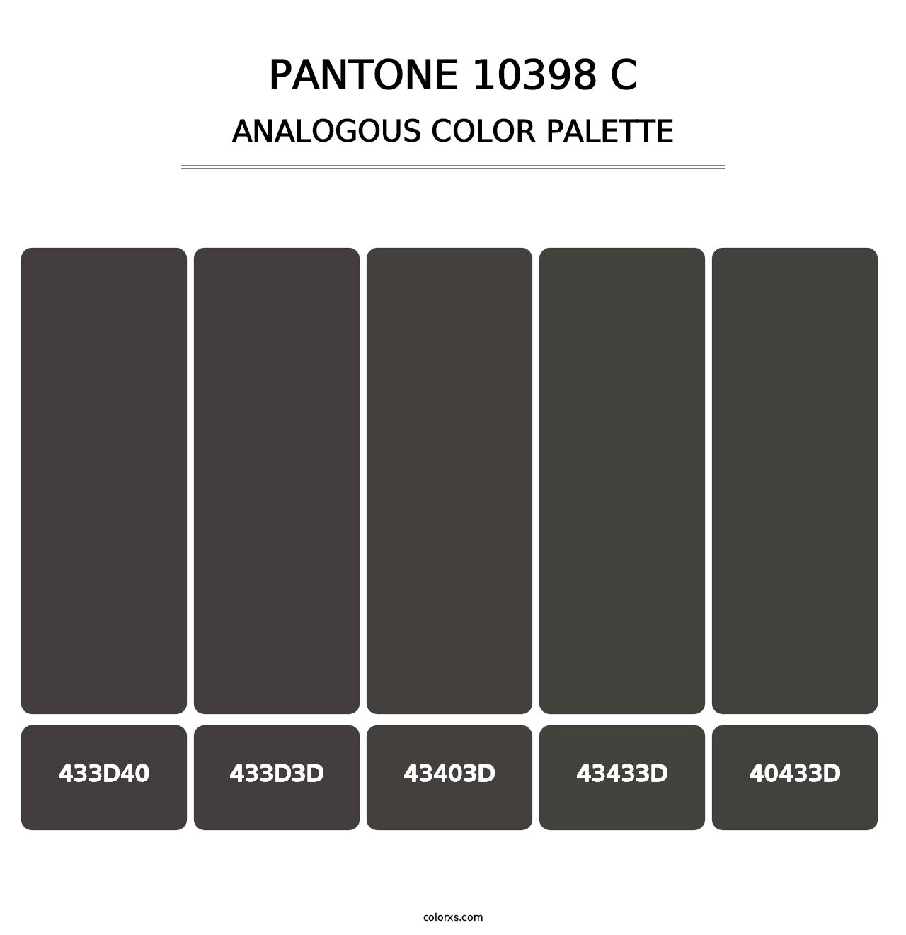 PANTONE 10398 C - Analogous Color Palette