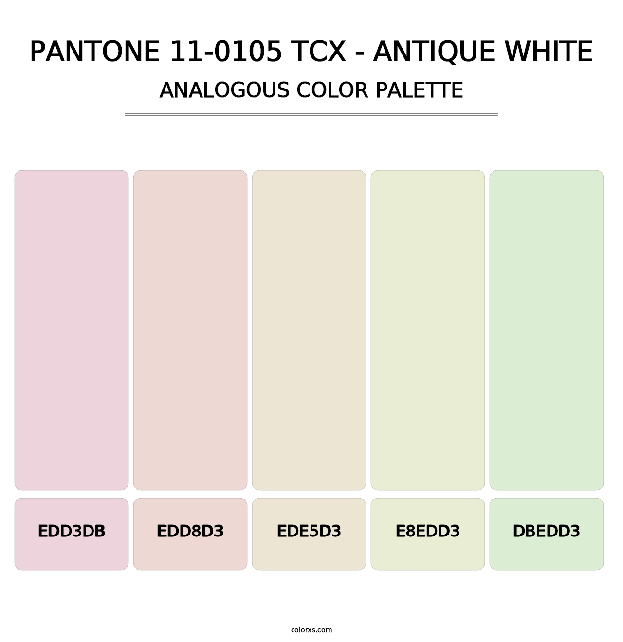 PANTONE 11-0105 TCX - Antique White - Analogous Color Palette