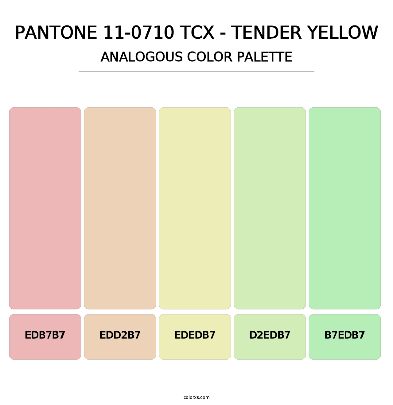 PANTONE 11-0710 TCX - Tender Yellow - Analogous Color Palette