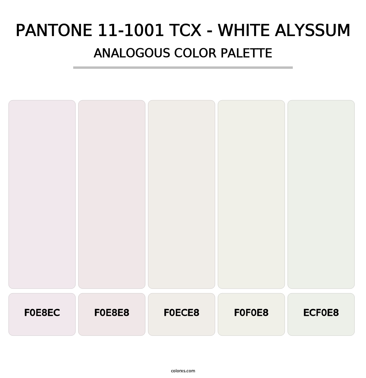 PANTONE 11-1001 TCX - White Alyssum - Analogous Color Palette