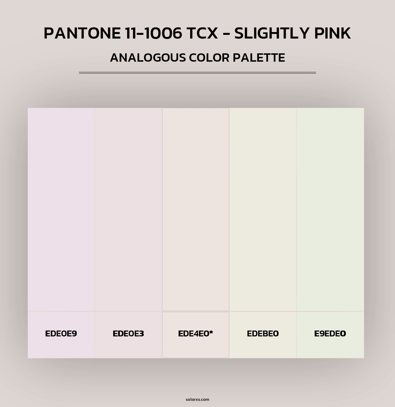 PANTONE 11-1006 TCX - Slightly Pink - Analogous Color Palette