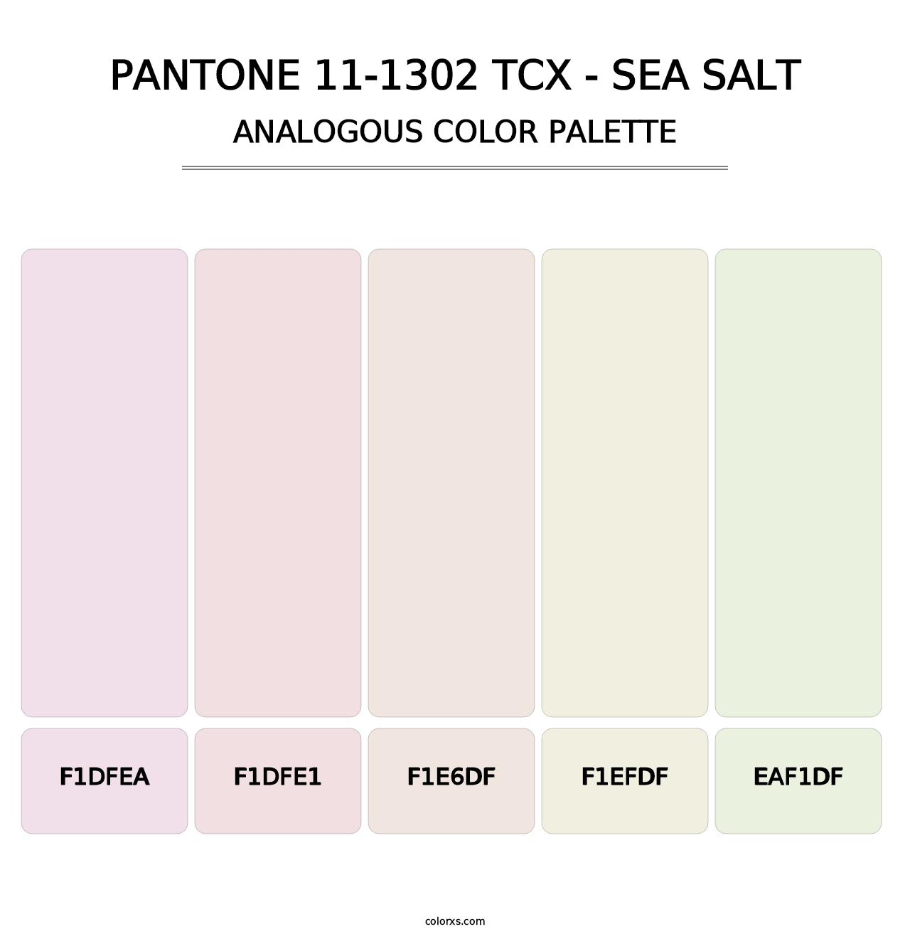 PANTONE 11-1302 TCX - Sea Salt - Analogous Color Palette