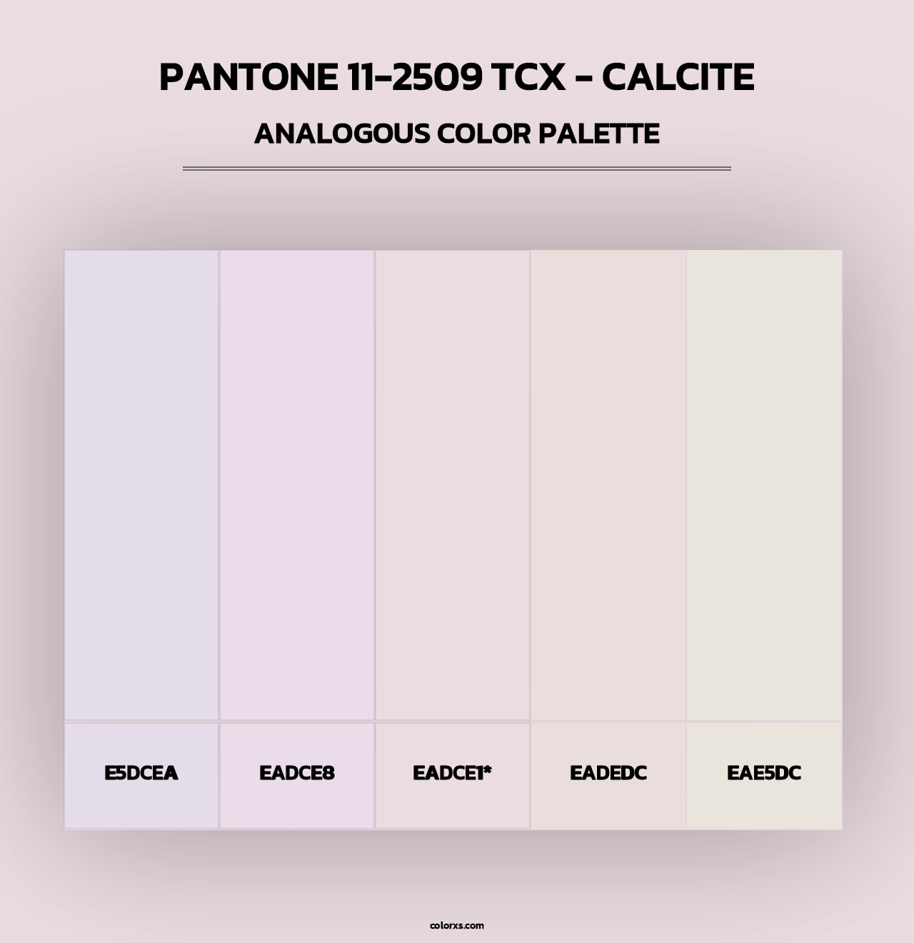 PANTONE 11-2509 TCX - Calcite - Analogous Color Palette