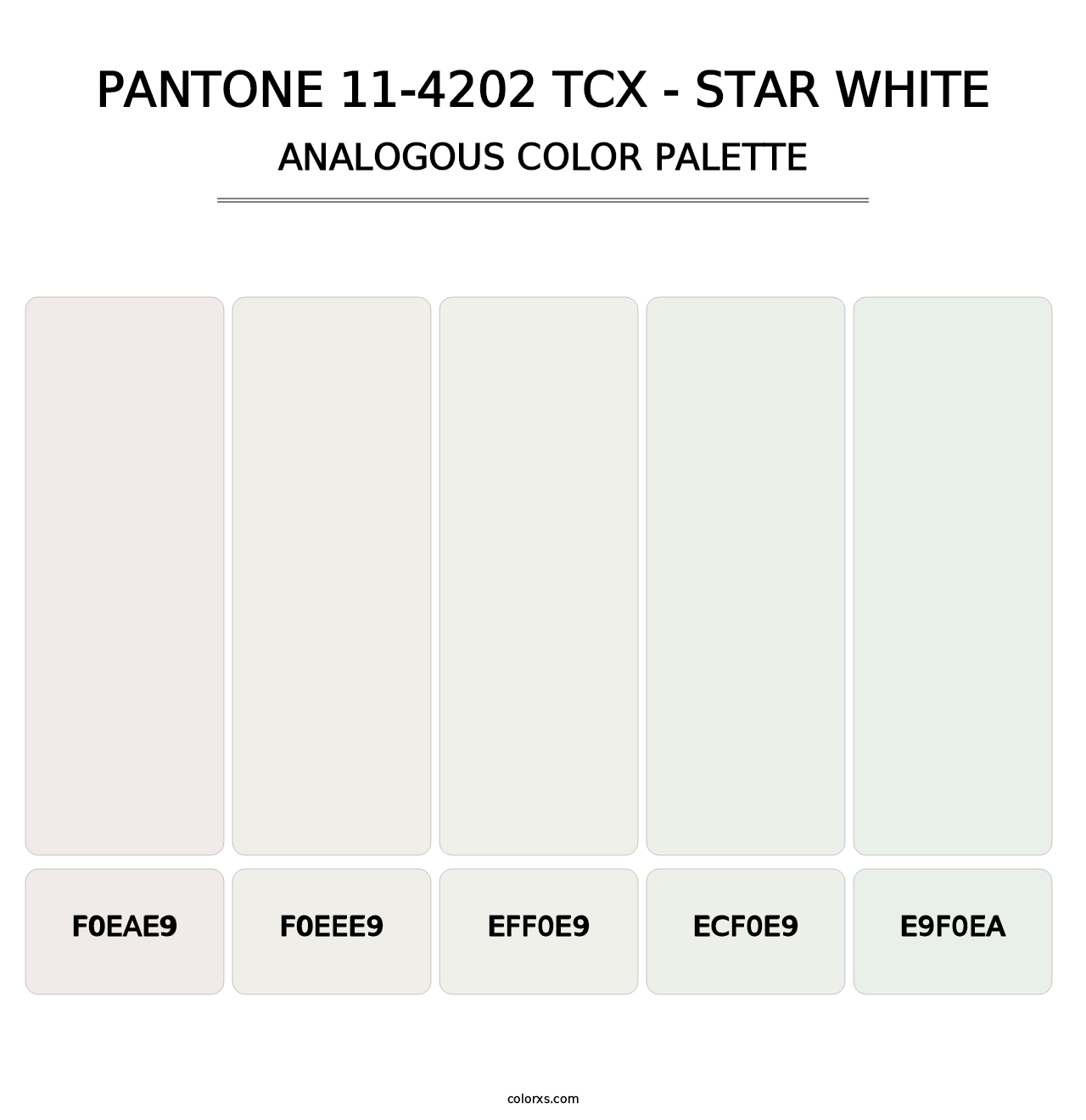 PANTONE 11-4202 TCX - Star White - Analogous Color Palette