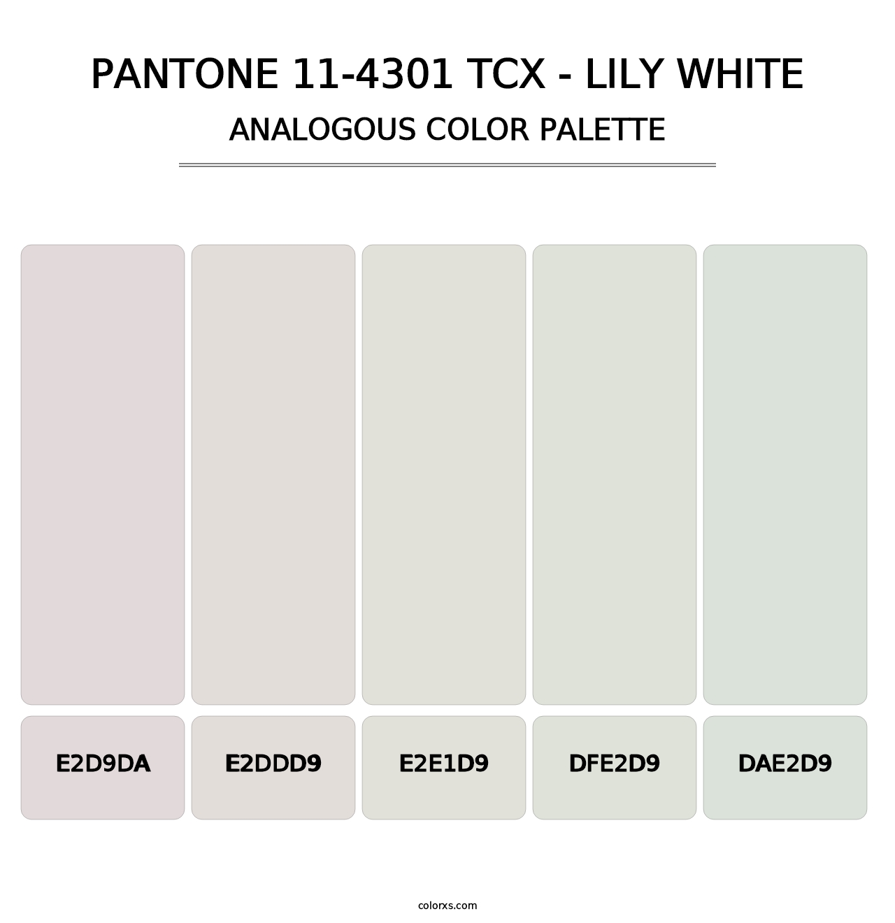 PANTONE 11-4301 TCX - Lily White - Analogous Color Palette