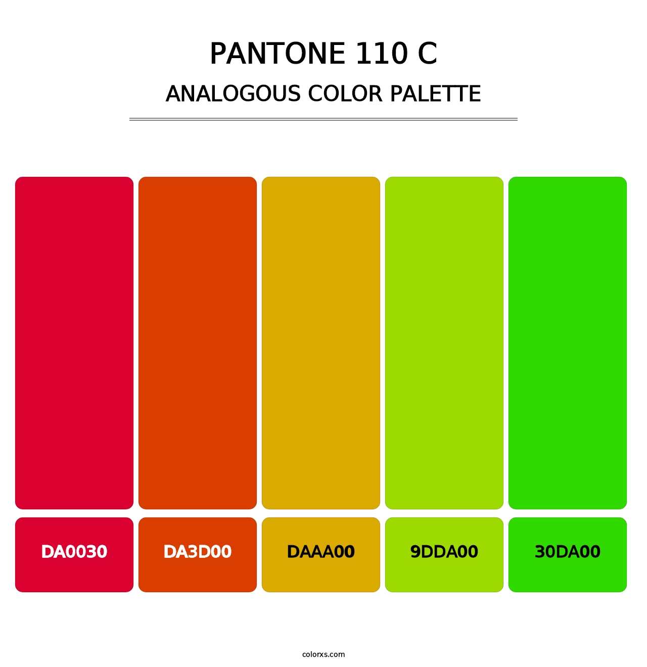 PANTONE 110 C - Analogous Color Palette
