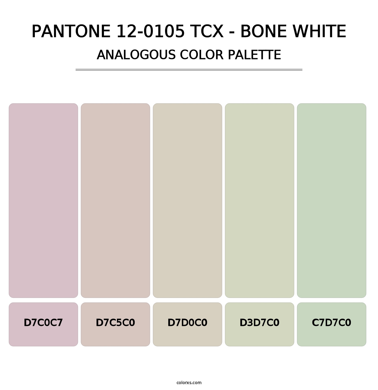PANTONE 12-0105 TCX - Bone White - Analogous Color Palette