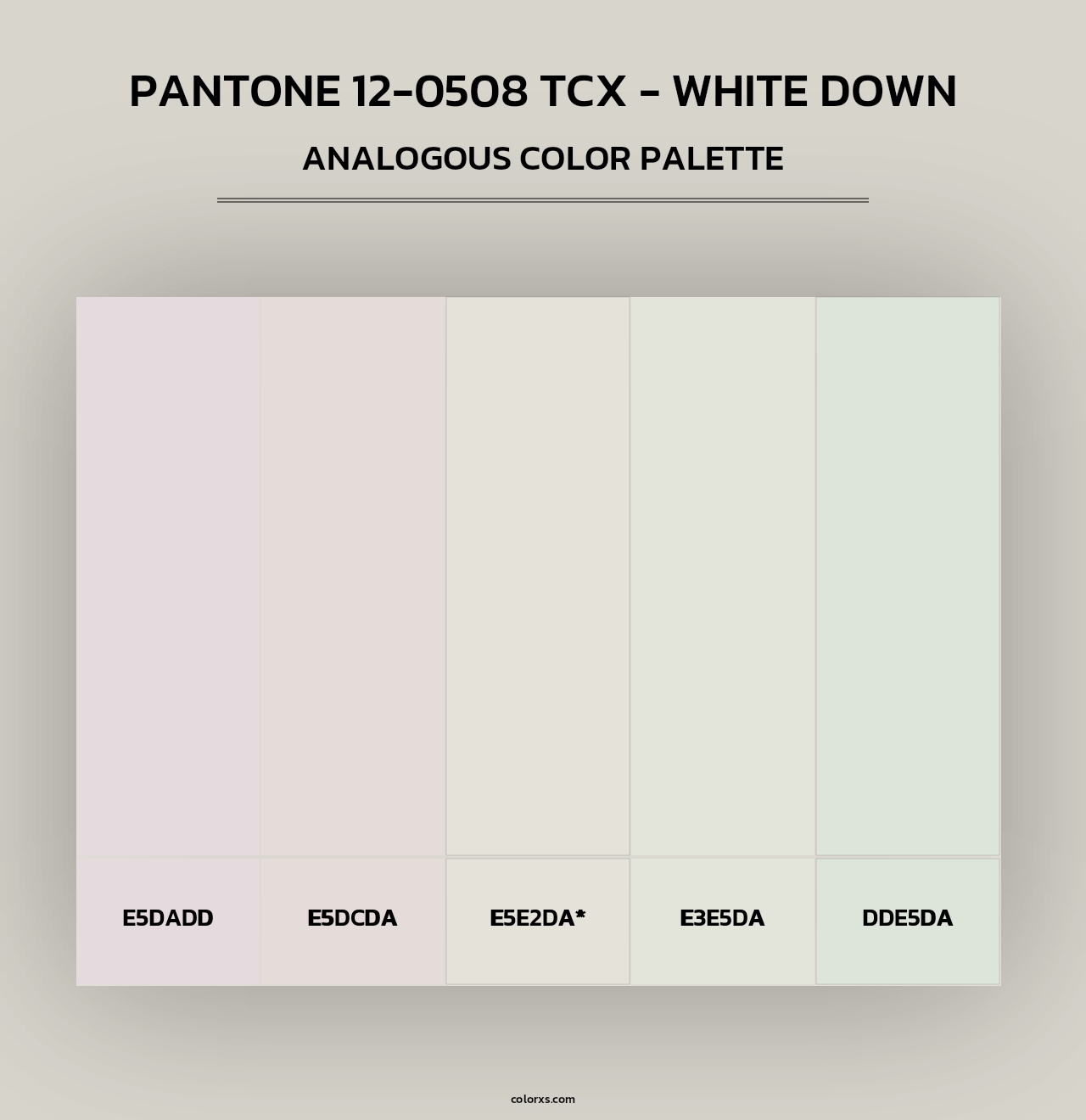 PANTONE 12-0508 TCX - White Down - Analogous Color Palette