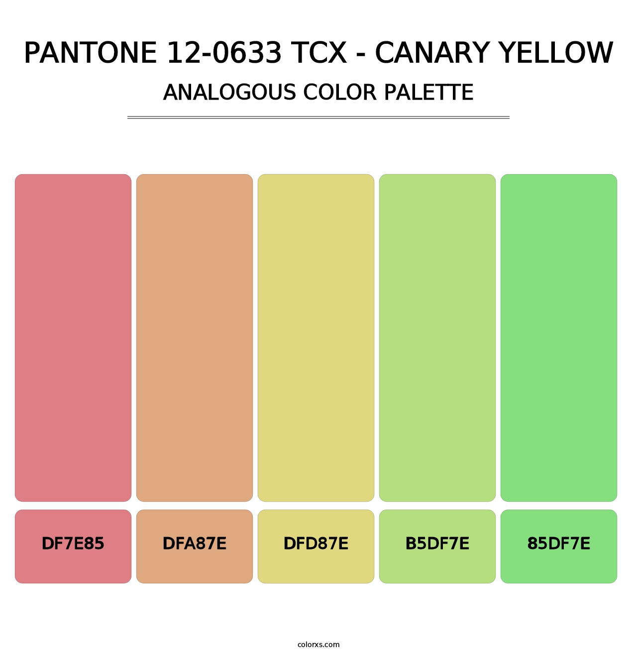 PANTONE 12-0633 TCX - Canary Yellow - Analogous Color Palette