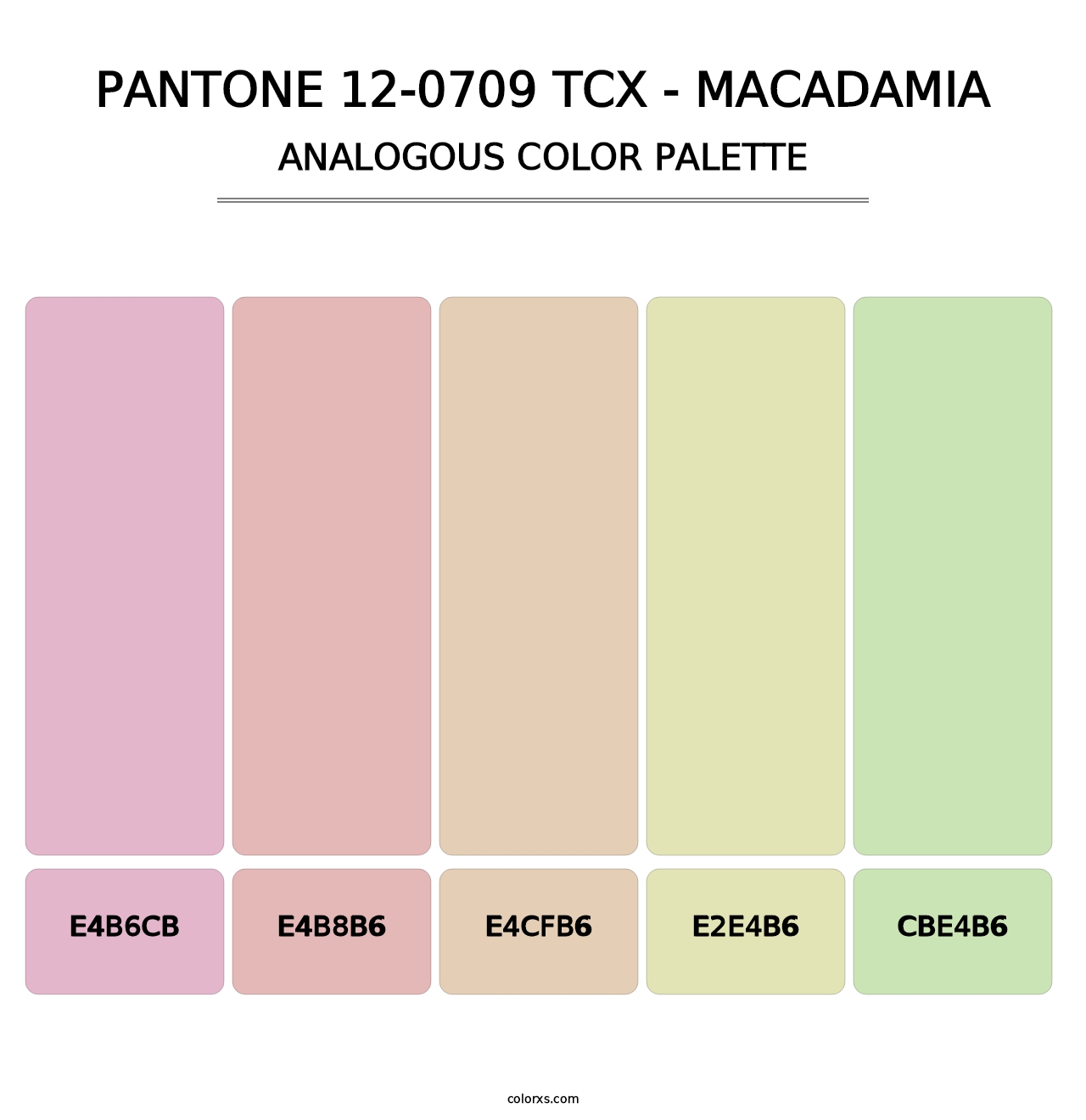 PANTONE 12-0709 TCX - Macadamia - Analogous Color Palette