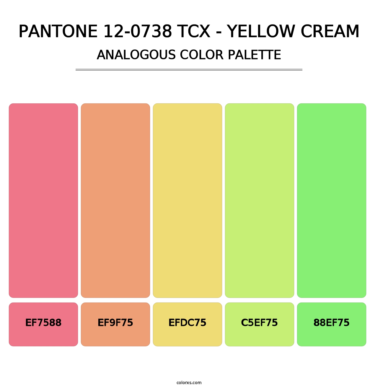PANTONE 12-0738 TCX - Yellow Cream - Analogous Color Palette