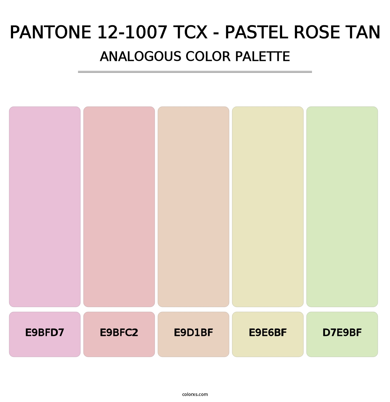 PANTONE 12-1007 TCX - Pastel Rose Tan - Analogous Color Palette