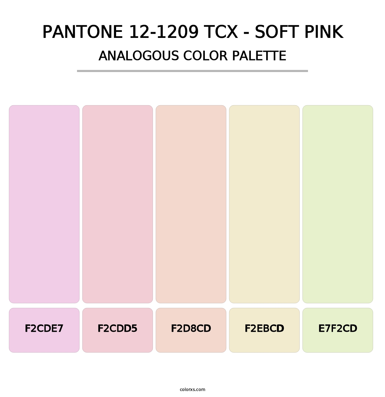 PANTONE 12-1209 TCX - Soft Pink - Analogous Color Palette