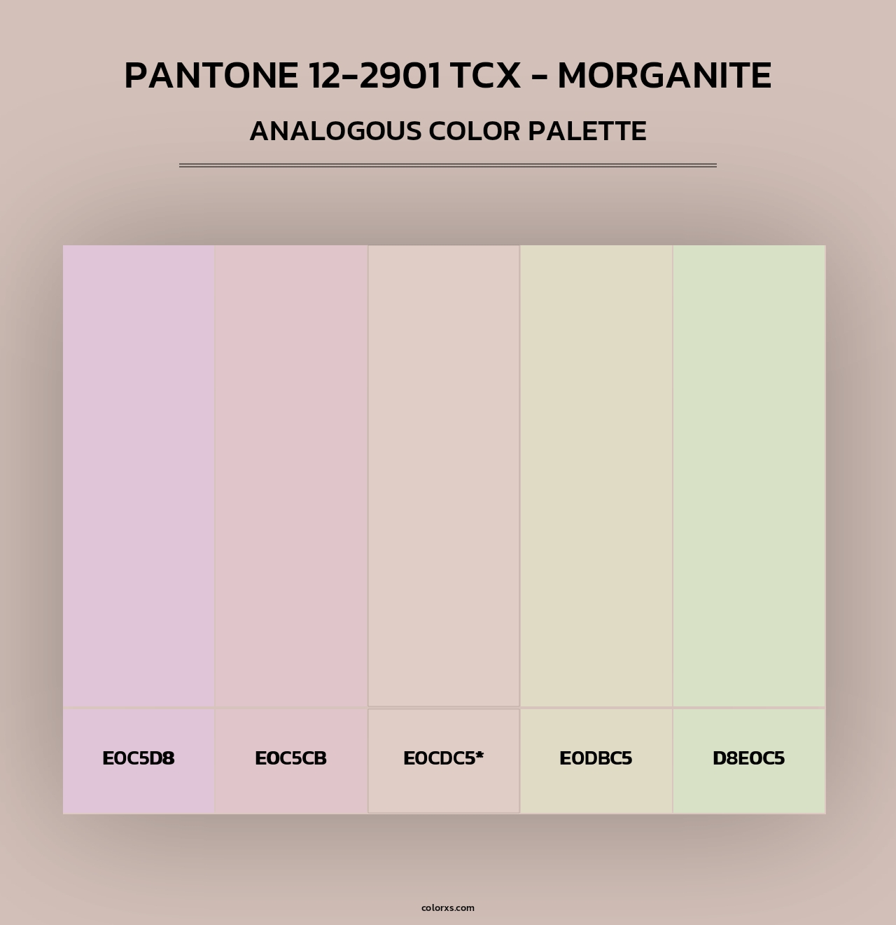 PANTONE 12-2901 TCX - Morganite - Analogous Color Palette