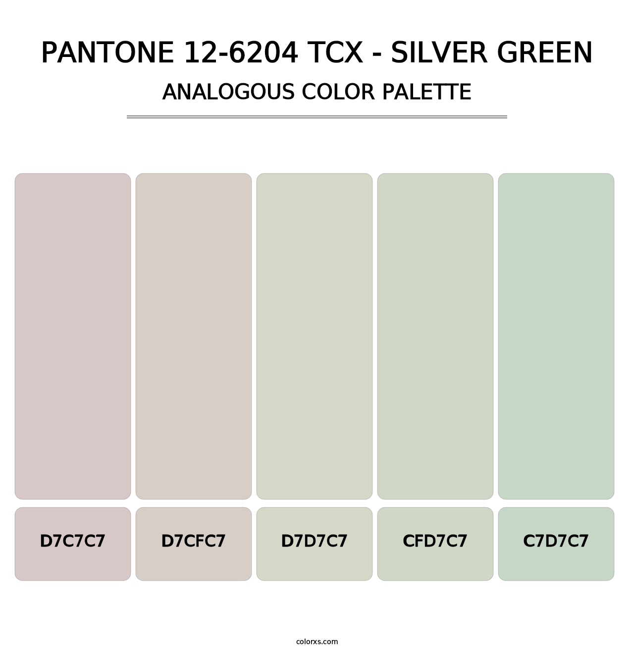 PANTONE 12-6204 TCX - Silver Green - Analogous Color Palette