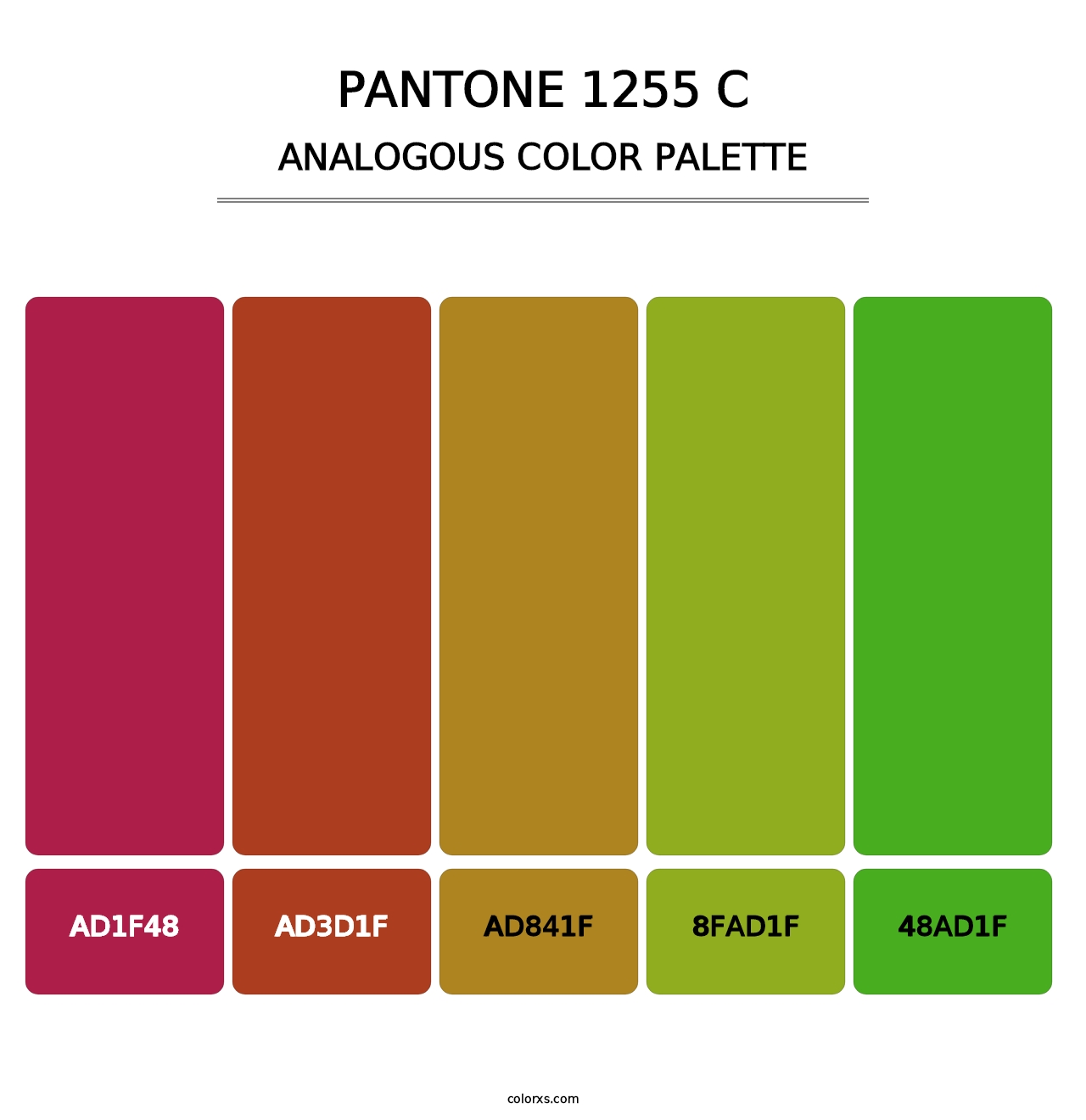 PANTONE 1255 C - Analogous Color Palette