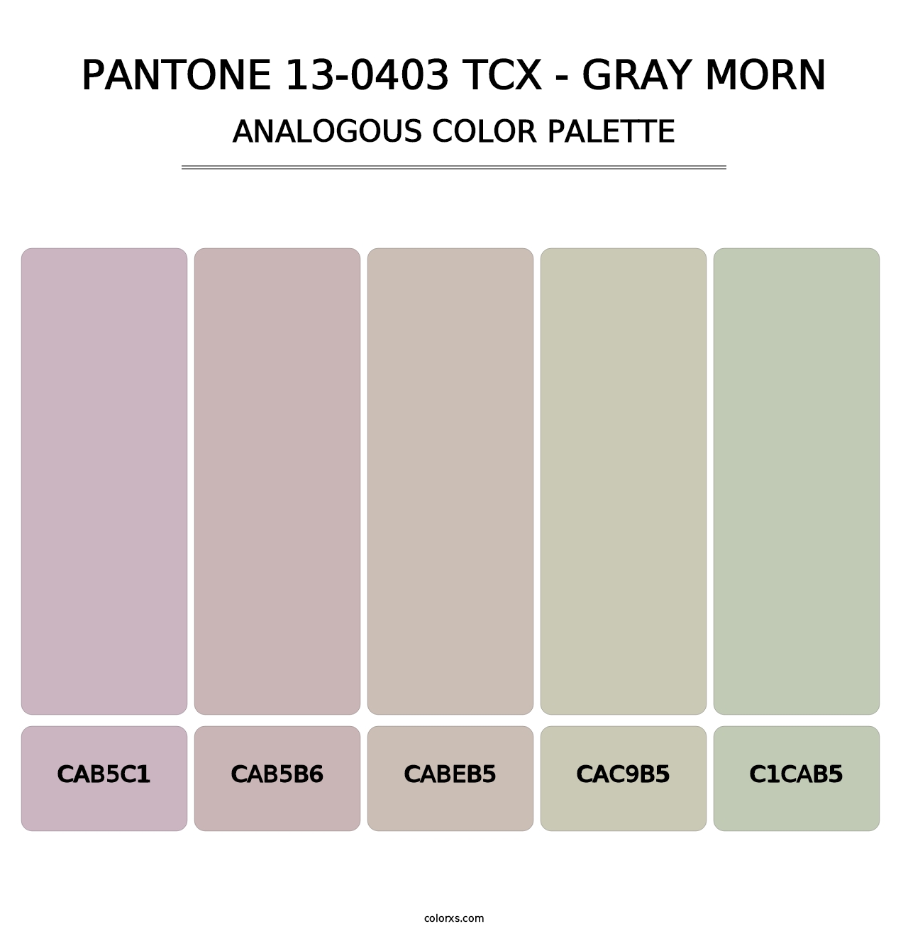 PANTONE 13-0403 TCX - Gray Morn - Analogous Color Palette