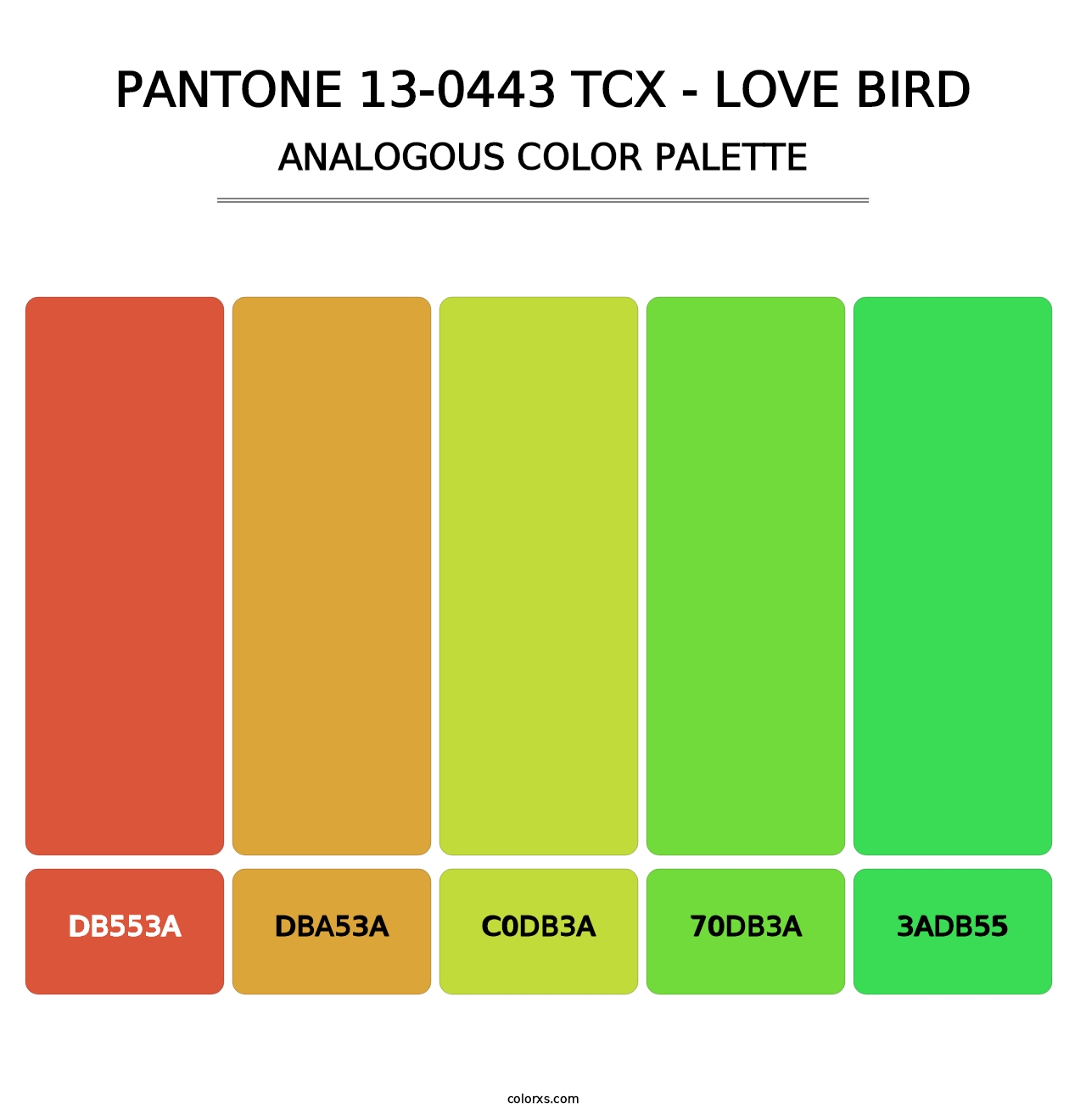 PANTONE 13-0443 TCX - Love Bird - Analogous Color Palette