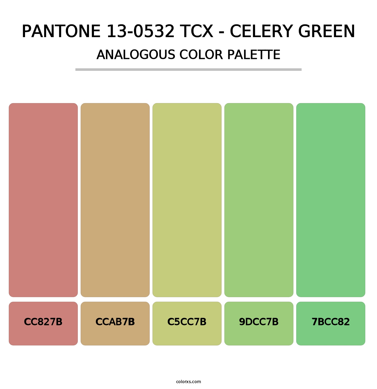 PANTONE 13-0532 TCX - Celery Green - Analogous Color Palette