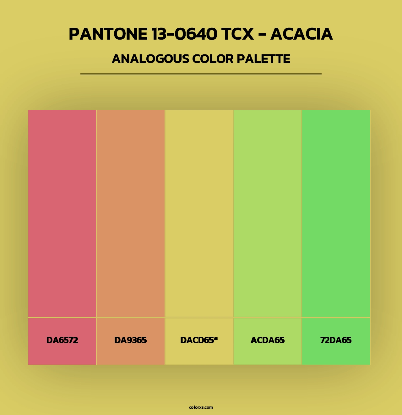 PANTONE 13-0640 TCX - Acacia - Analogous Color Palette