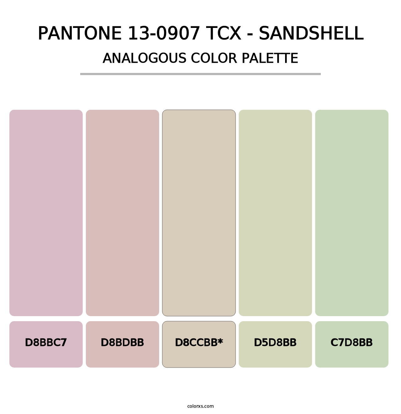 PANTONE 13-0907 TCX - Sandshell - Analogous Color Palette