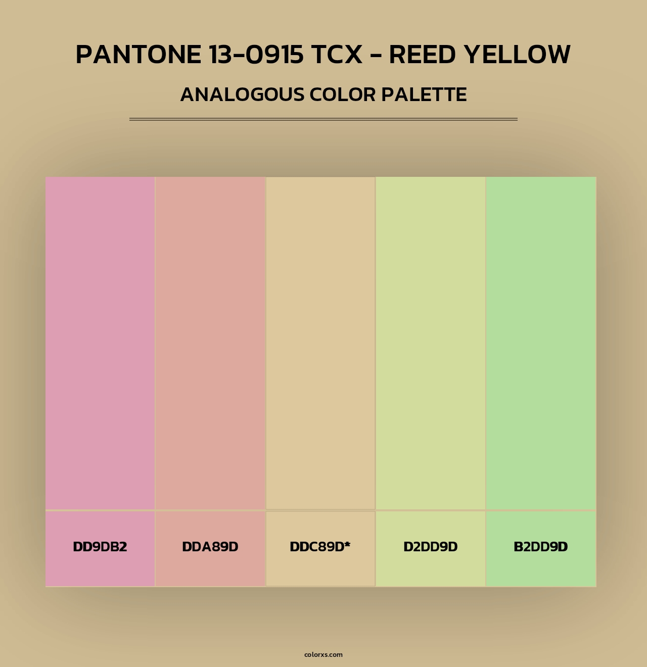 PANTONE 13-0915 TCX - Reed Yellow - Analogous Color Palette