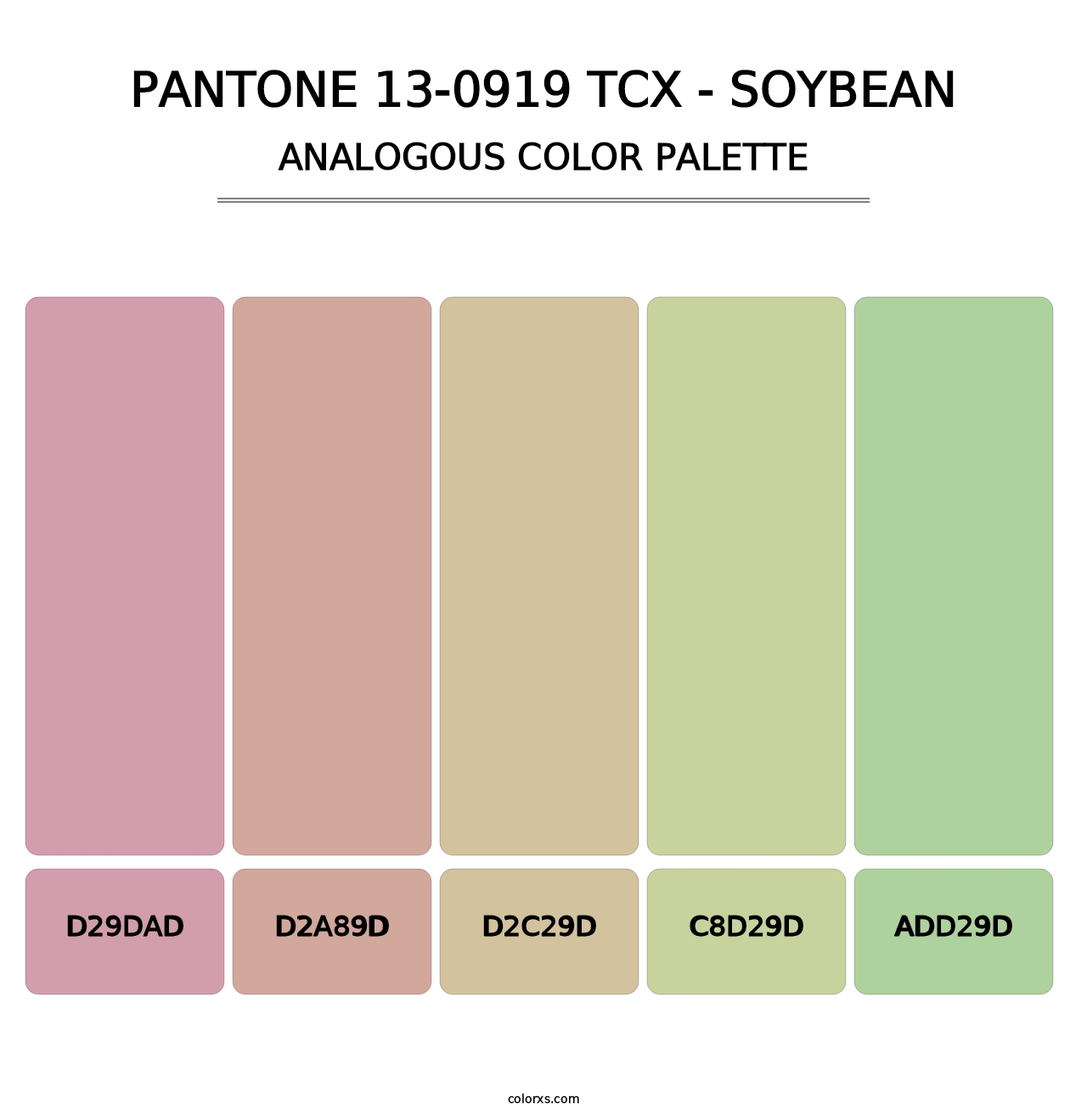 PANTONE 13-0919 TCX - Soybean - Analogous Color Palette
