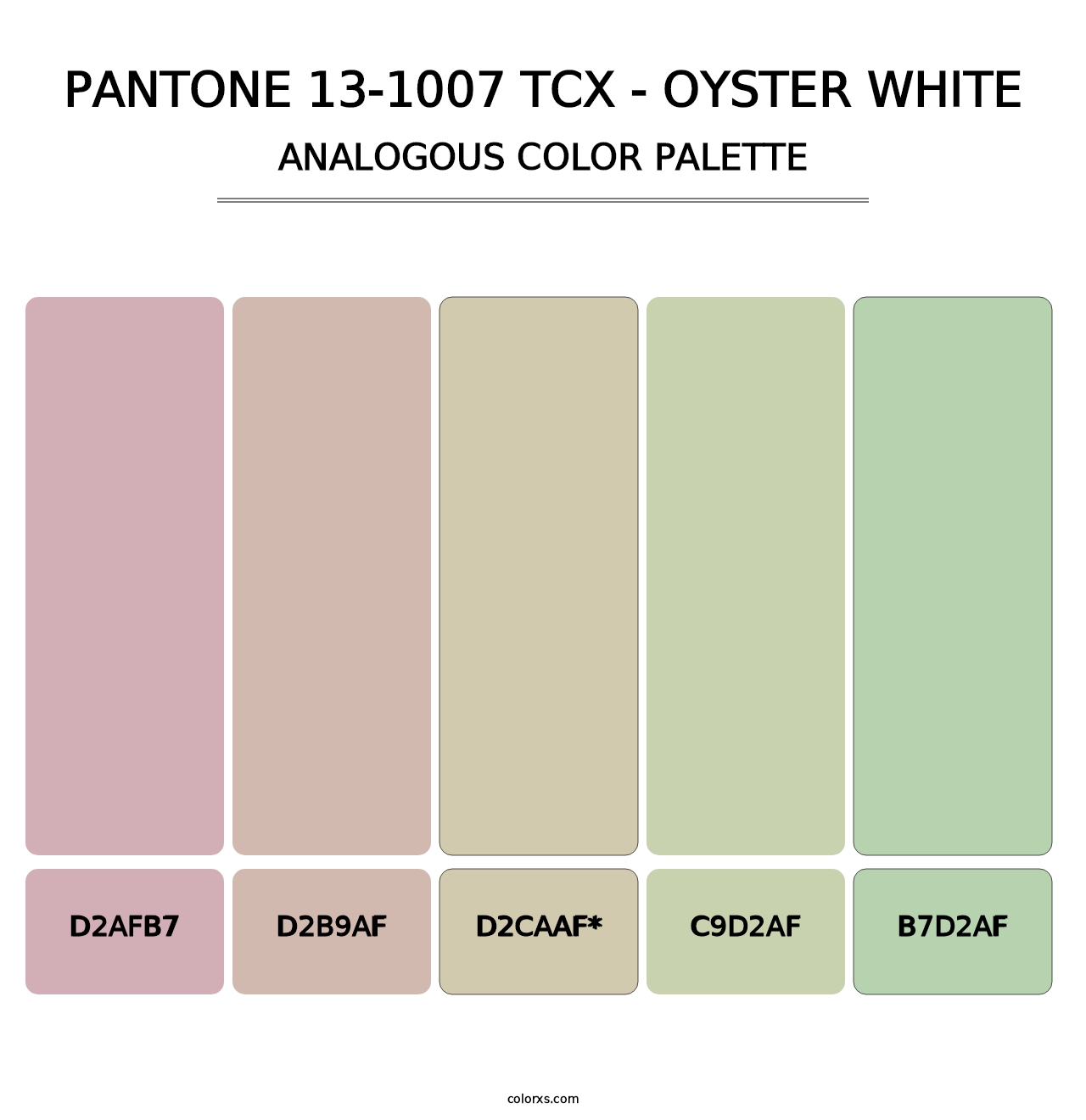 PANTONE 13-1007 TCX - Oyster White - Analogous Color Palette