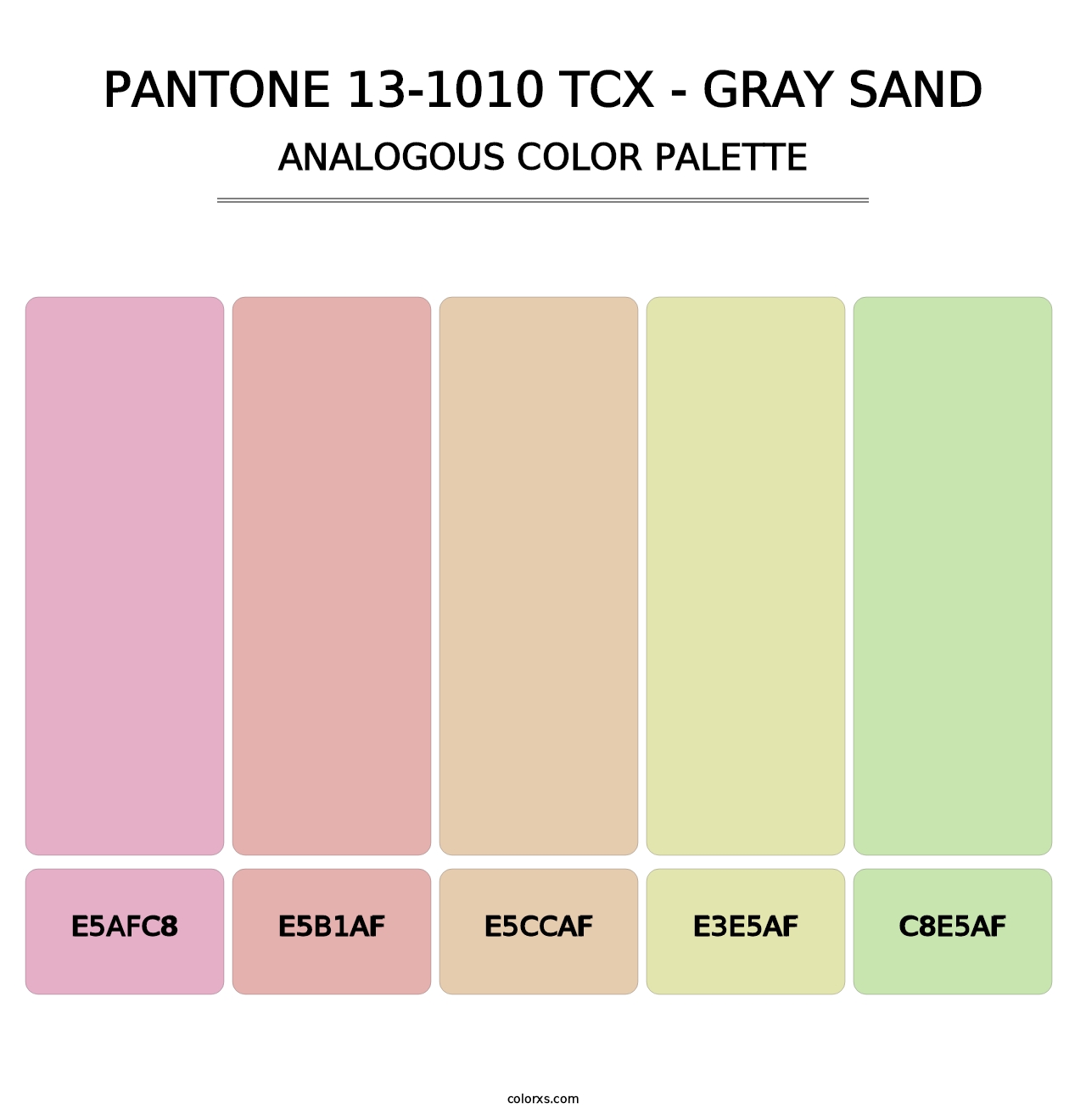 PANTONE 13-1010 TCX - Gray Sand - Analogous Color Palette