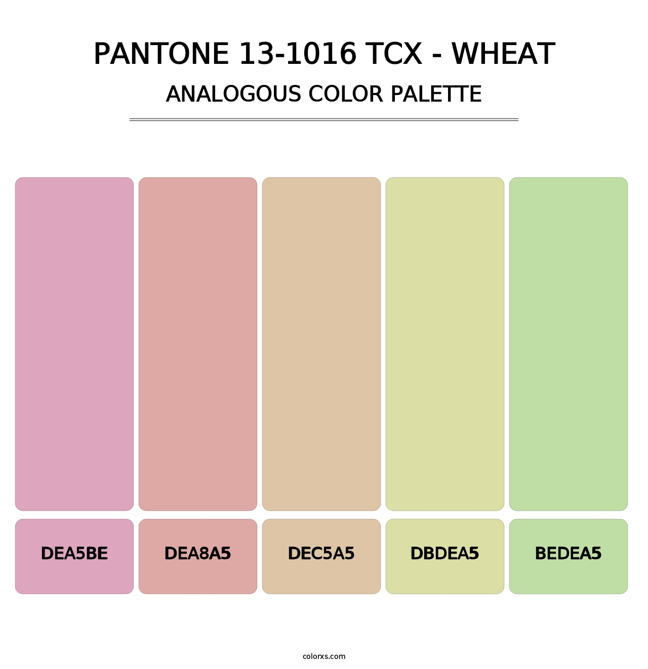 PANTONE 13-1016 TCX - Wheat - Analogous Color Palette