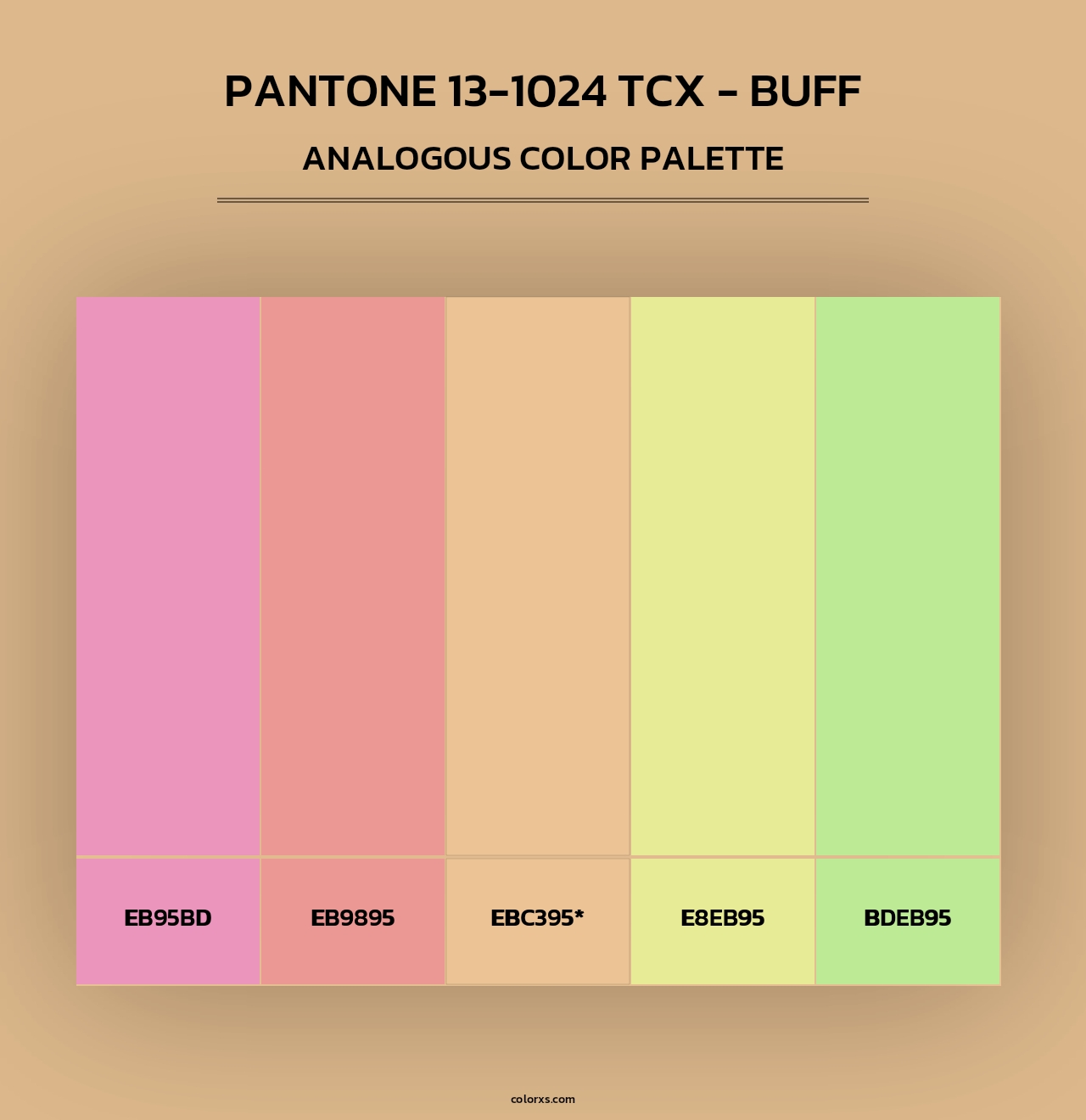 PANTONE 13-1024 TCX - Buff - Analogous Color Palette