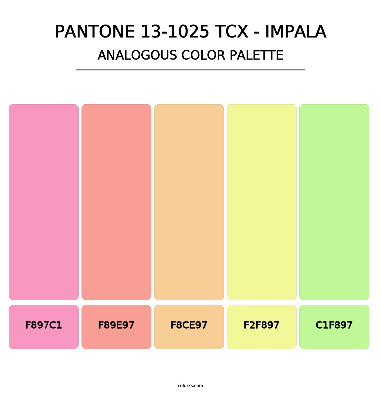 PANTONE 13-1025 TCX - Impala - Analogous Color Palette