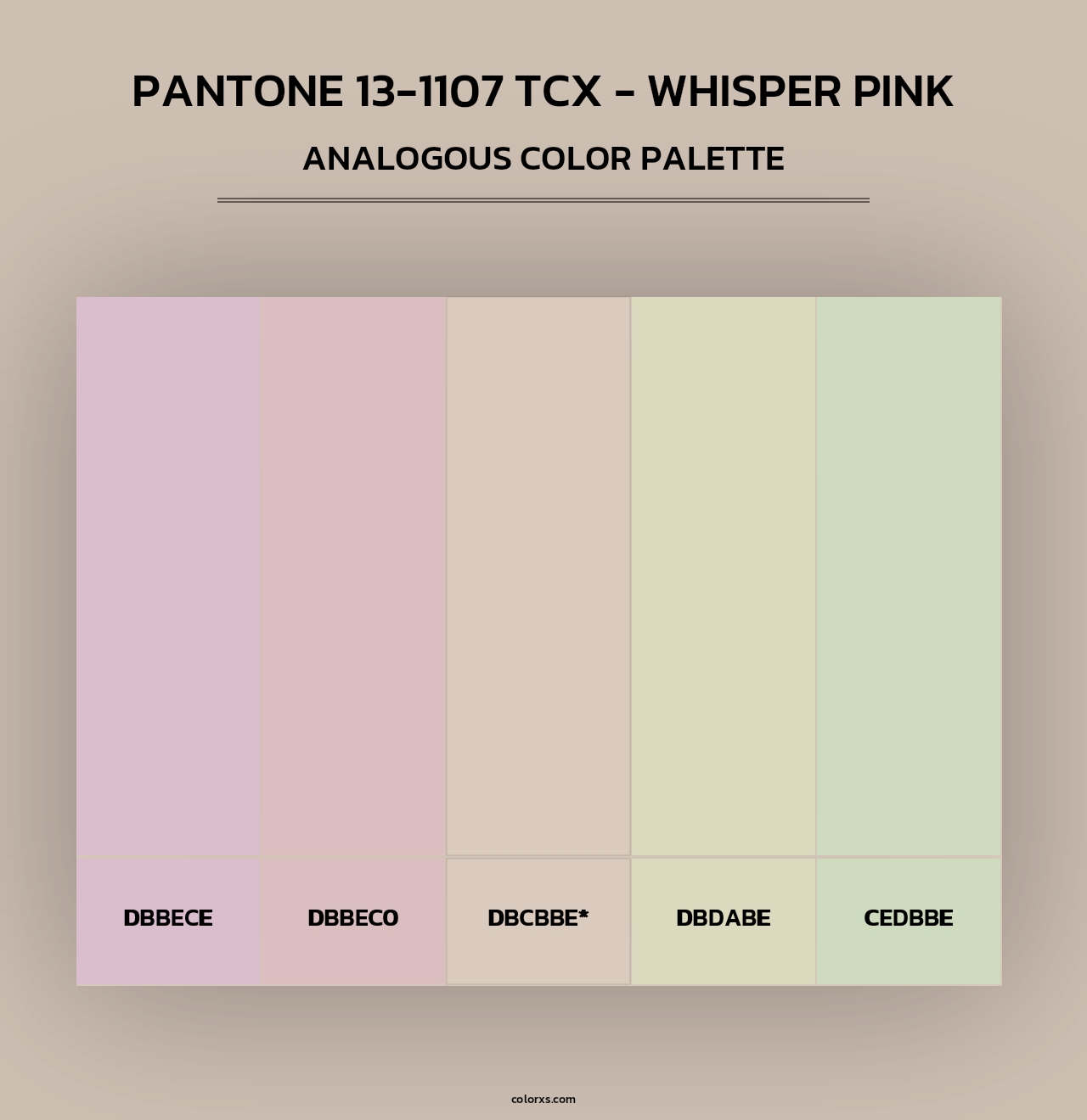 PANTONE 13-1107 TCX - Whisper Pink - Analogous Color Palette