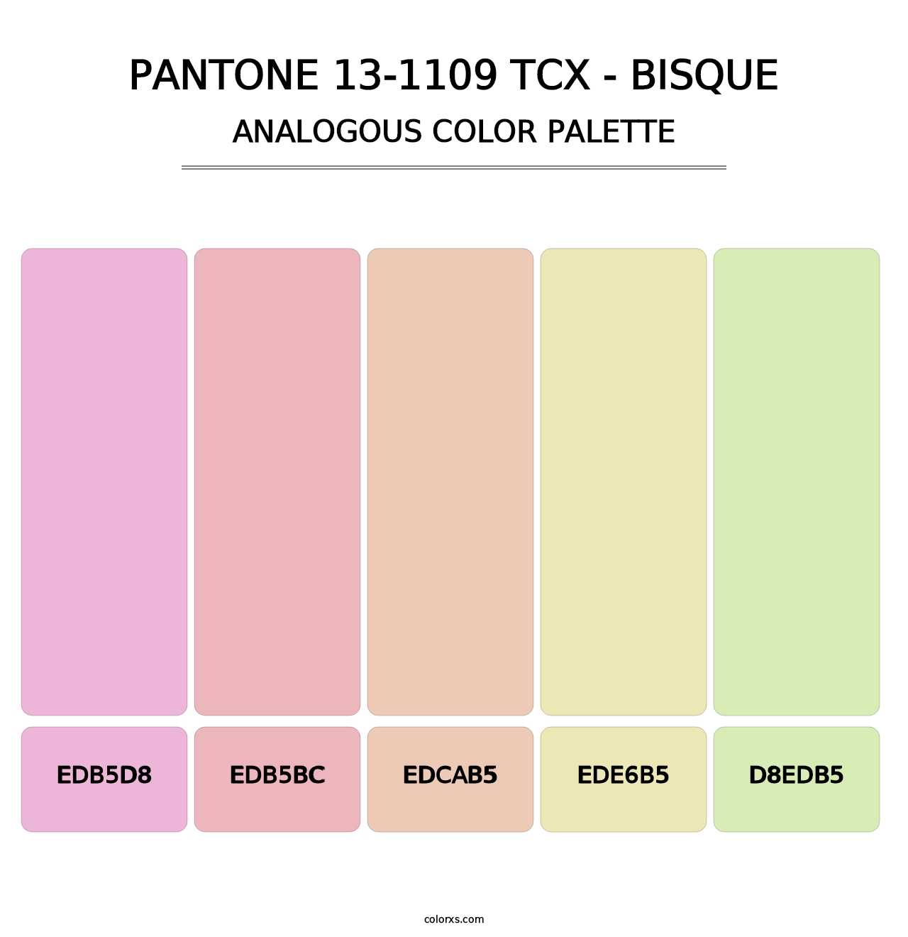 PANTONE 13-1109 TCX - Bisque - Analogous Color Palette