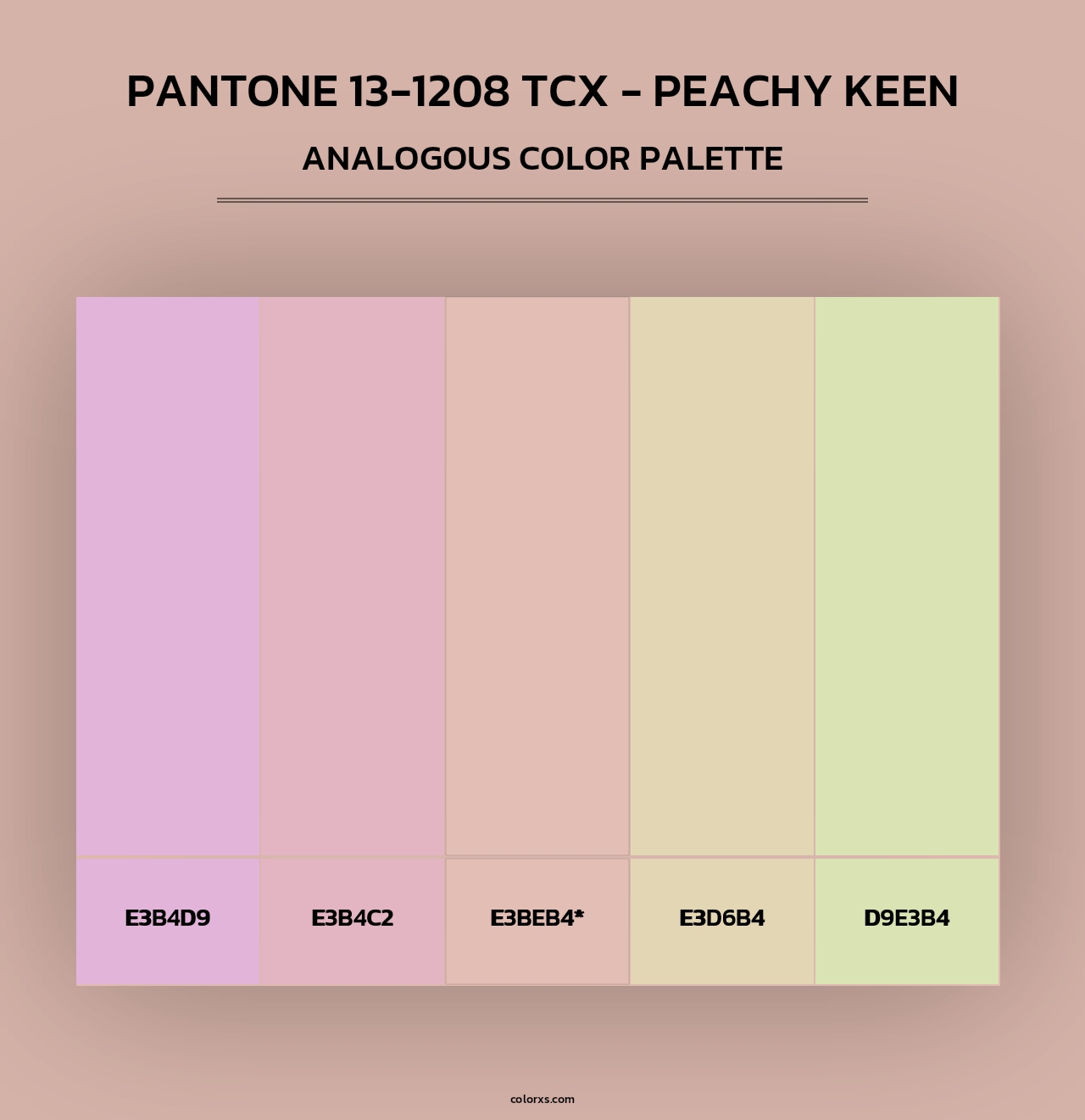 PANTONE 13-1208 TCX - Peachy Keen - Analogous Color Palette