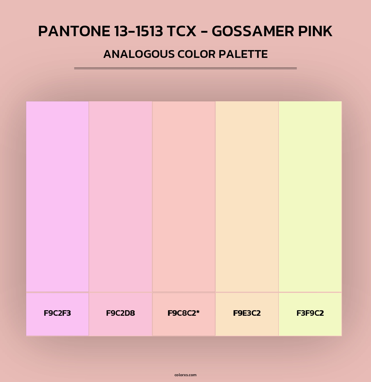 Pantone 13-1513 TCX - Gossamer Pink - Analogous Color Palette